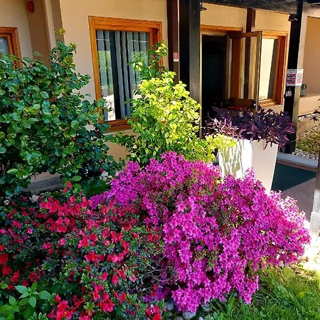 Отель Montebello Park