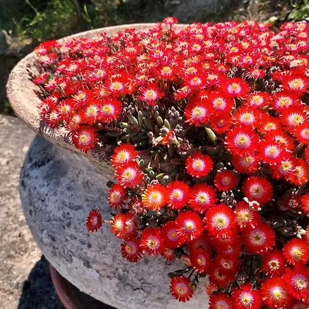 Montebello Park Отель