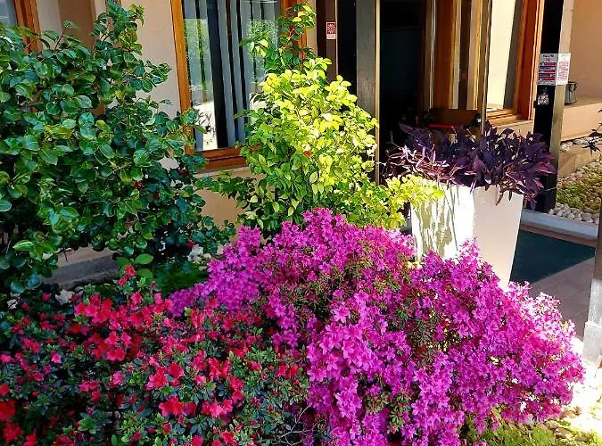 Ξενοδοχείο Montebello Park