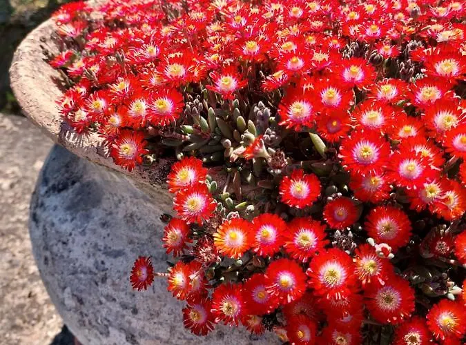 Montebello Park Otel